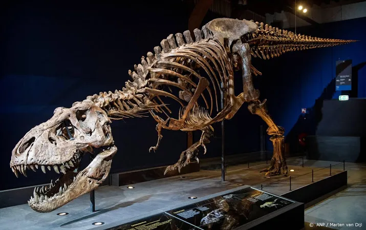 naturalis graaft in wyoming weer naar dinos