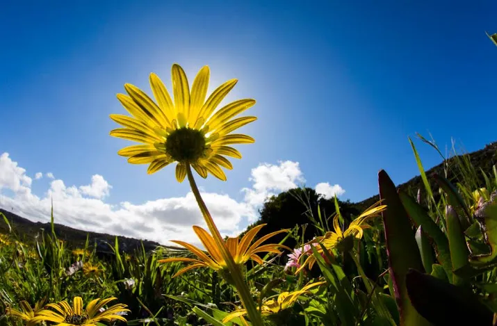natuurbescherming nederland schiet tekort