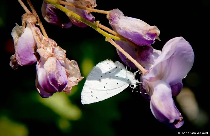 natuurmonumenten bescherm het landschap