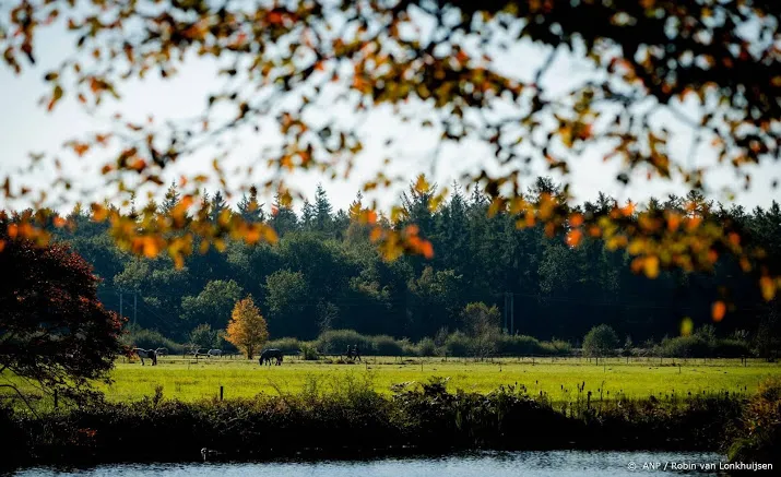 natuurmonumenten gaat minder bomen kappen