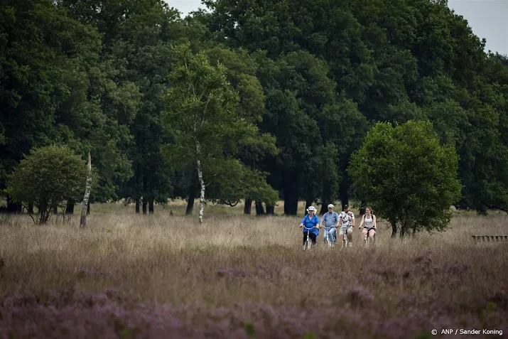 natuurorganisatie overweegt gang naar rechter om bomenkap salland