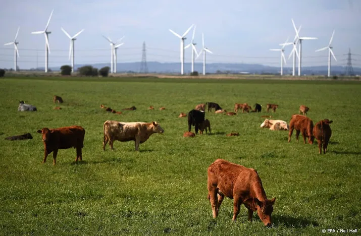 natuurorganisaties zien te weinig wilskracht in plannen kabinet