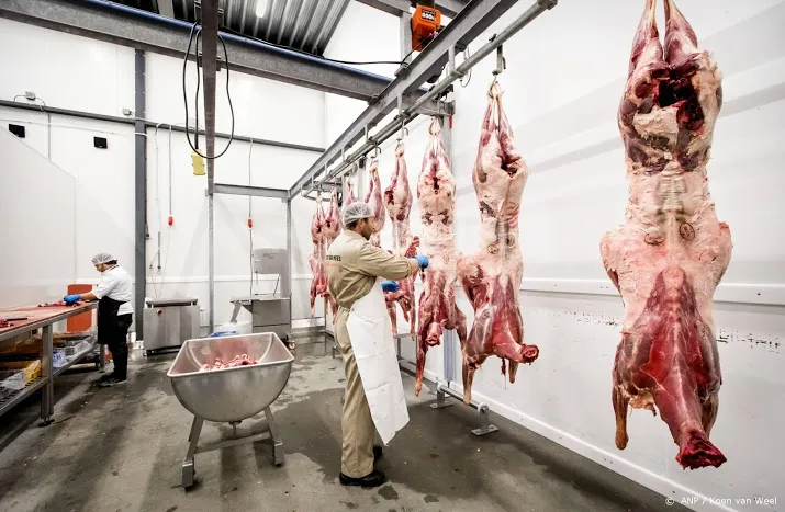 nederland blijft de grootste vleesexporteur van europa