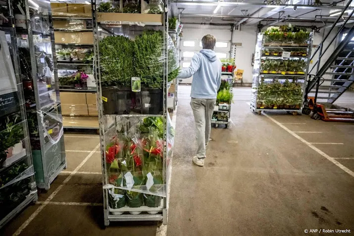 nederland exporteert meer bloemen naar oost europa