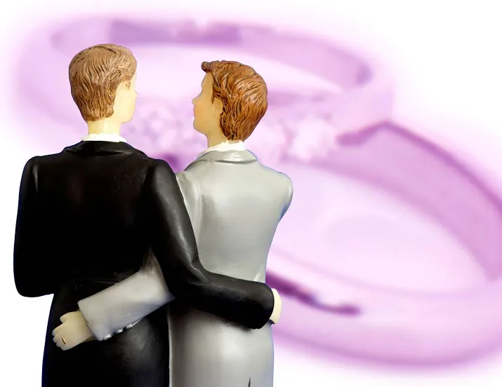 nederland telt naar schatting vijftien homogenezers