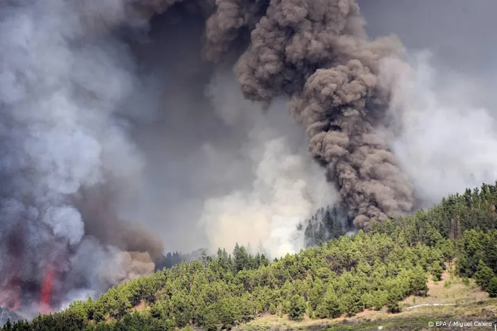 nederlanders op la palma geevacueerd vanwege vulkaanuitbarsting
