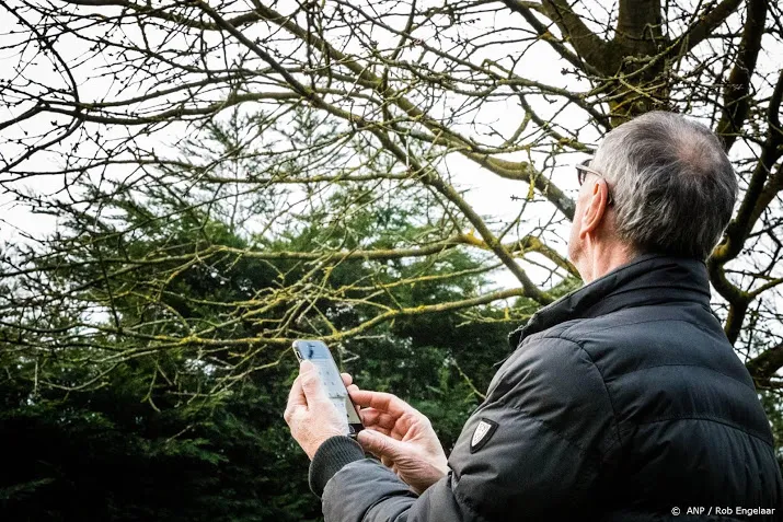 nederlanders opgeroepen tuinvogels te tellen