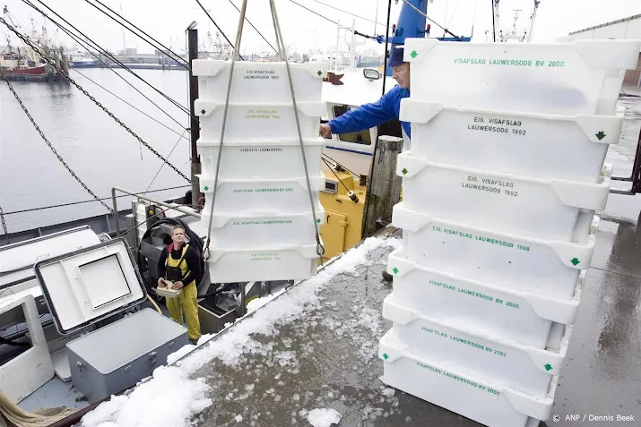 nederlandse kottervisserij draait weer met verlies