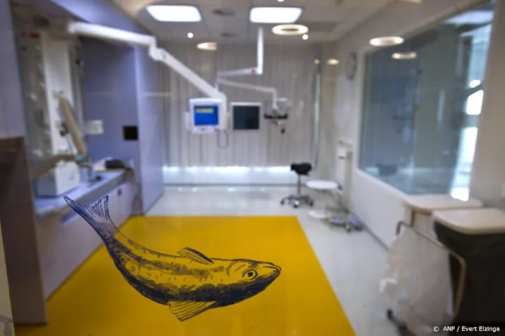 nederlandse ziekenhuizen vol met kinderen met rs virus