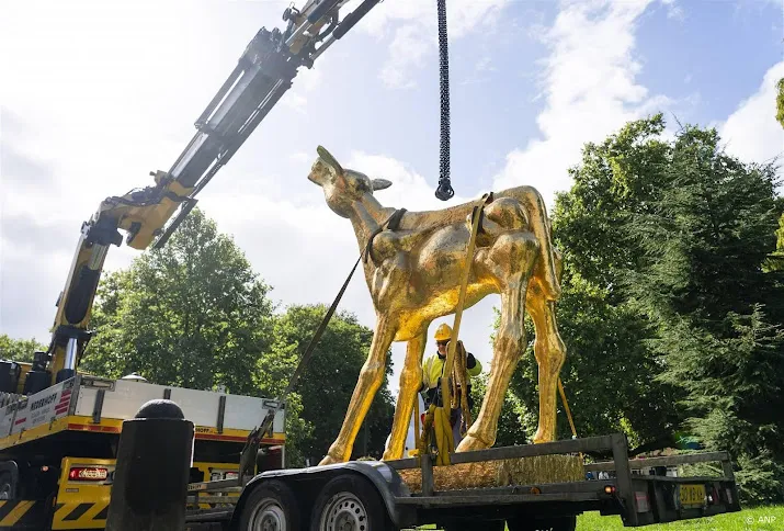 nff gaat in bezwaar tegen subsidiestop nooit signalen gehad