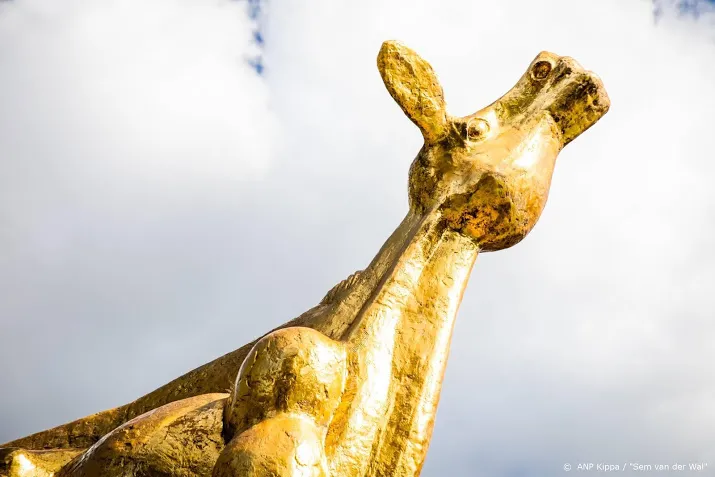 nff introduceert nieuwe categorie gouden kalf