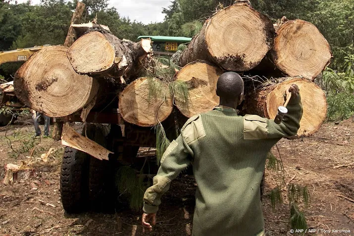 ngos rabobank ing en abn amro financieren klimaatontwrichting