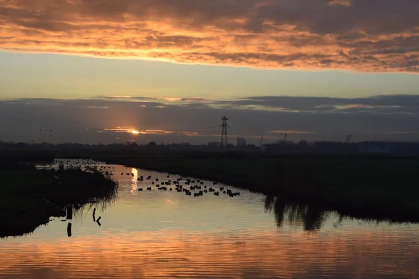 nico koller krommenieer woudpolder