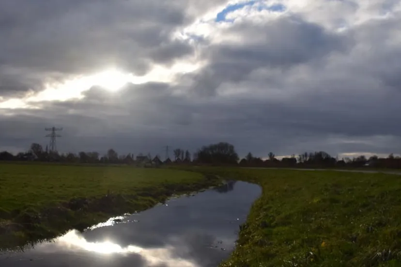 nico koller krommenieer woudpolder