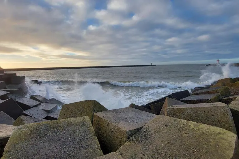 nicol taal scheveningen