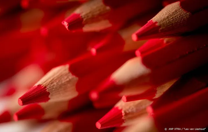 nida wil volgend jaar meedoen aan landelijke verkiezingen