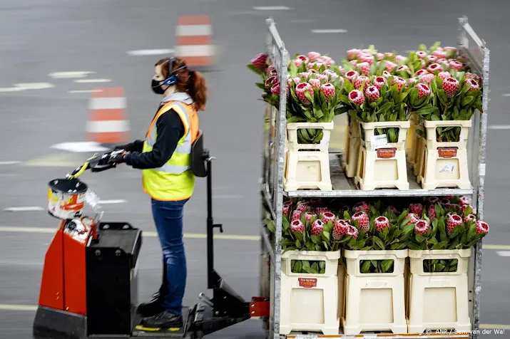 nieuw record voor export bloemen en planten in 2021