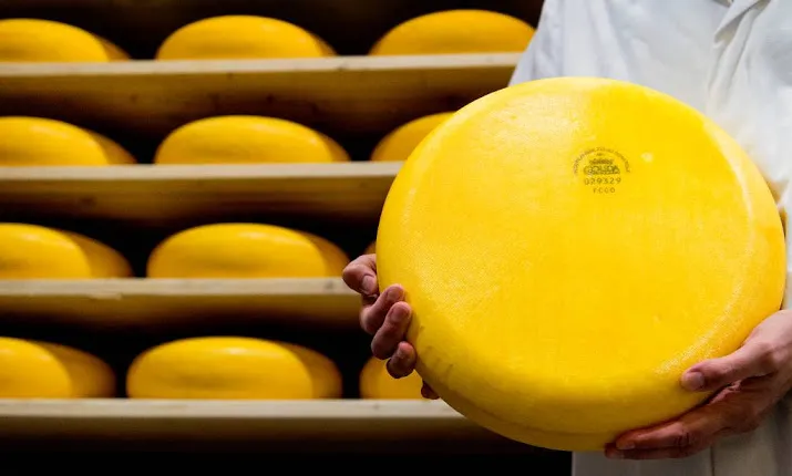 nieuwe cao voor werknemers zuivelindustrie