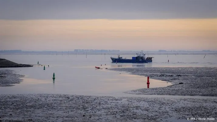 nieuwe grote platworm opgedoken in oosterschelde