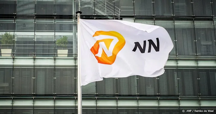 nn lijdt nettoverlies door waardedaling vastgoed en aandelen