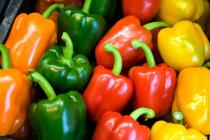 no dealbrexit raakt groente en fruittoevoer