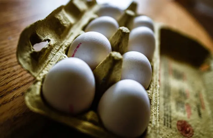 nog steeds fipronil in eieren