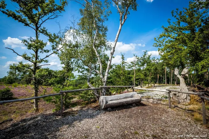 noodverordening brunssummerheide voor schouw