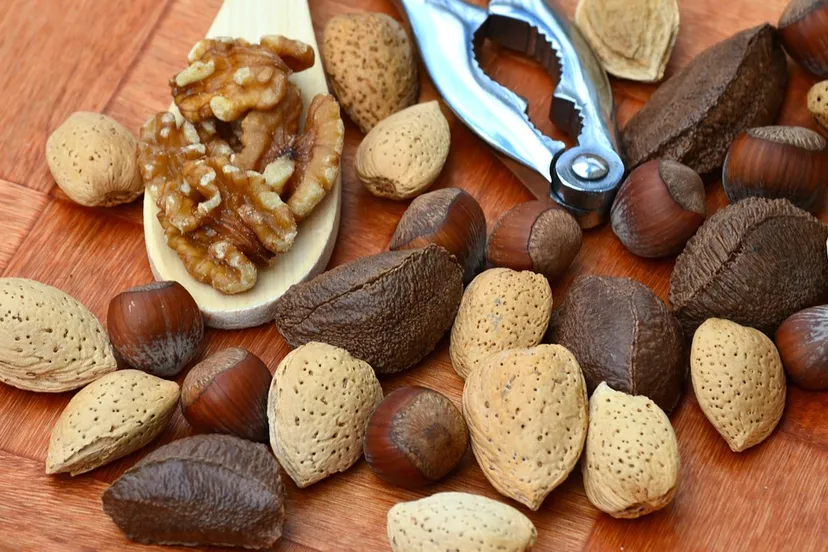nut 1703663 960 720