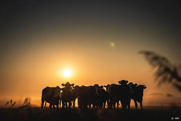 nvwa extra toezicht op dierenwelzijn bij hoge temperaturen