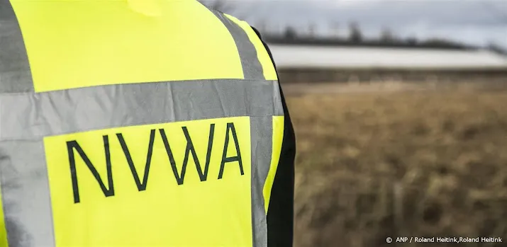 nvwa haalt 125 dieren weg bij limburgse veehouder
