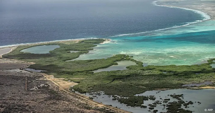 olievervuiling op stranden van bonaire