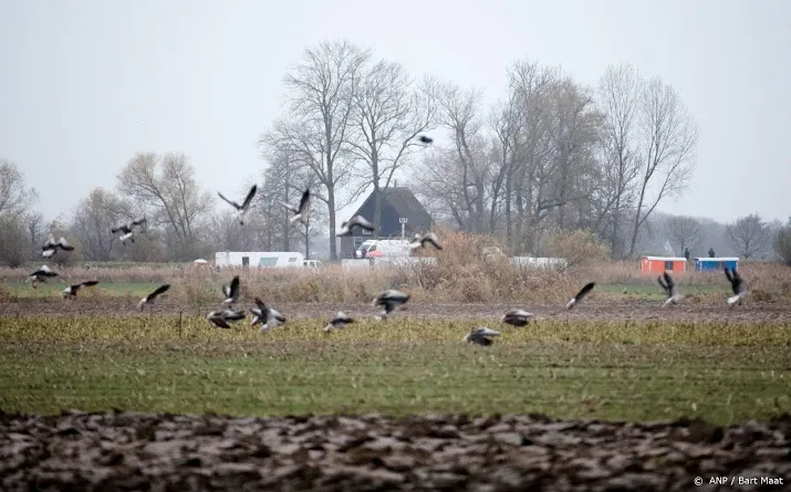 om dubbele moord hooge zwaluwe was noodweer