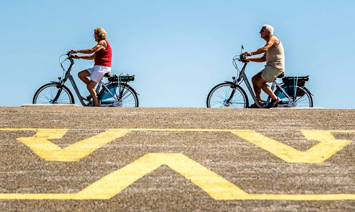 om eist maanden cel voor diefstal dure e bikes