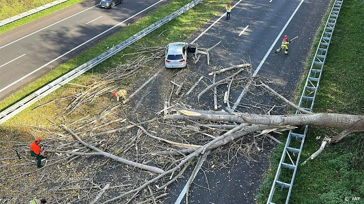 omgewaaide bomen en takken zorgen voor overlast op de weg