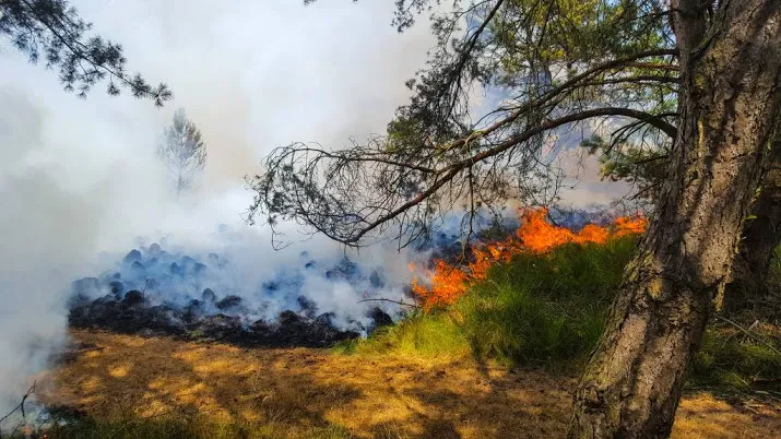 omstanders pakten verdachte brand hoge veluwe