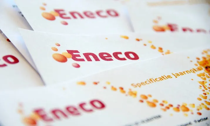 omzetgroei stedin in eerste jaar los van eneco