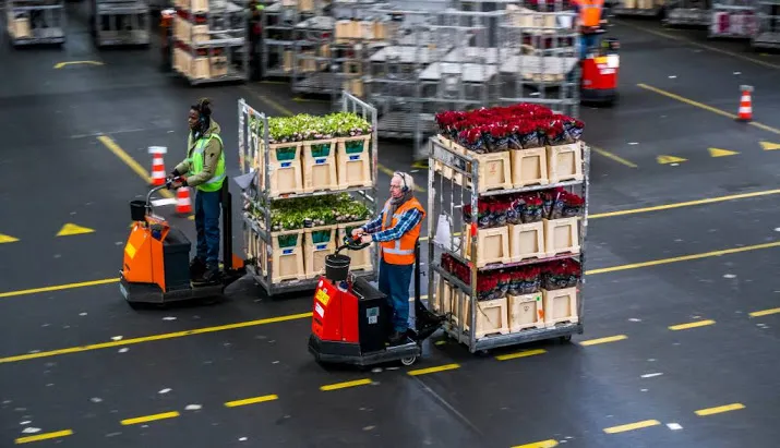 omzetwaarde export bloemen planten stabiel