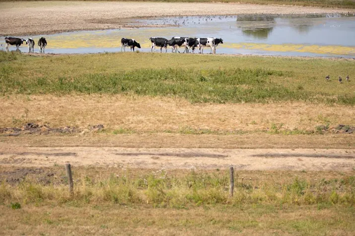 ondanks regen houdt droogte aan