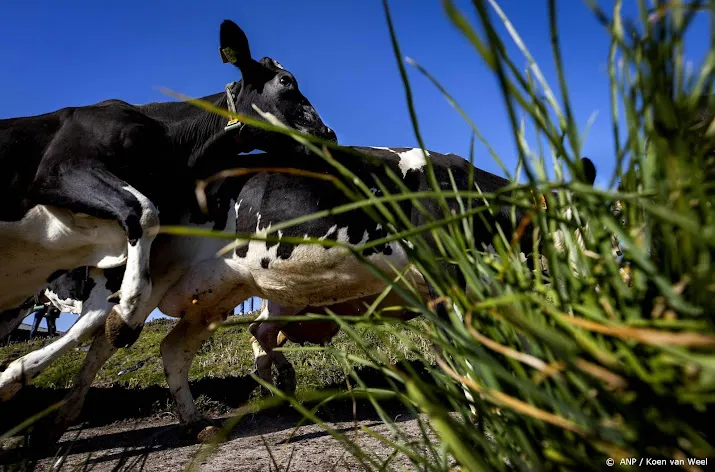 ondernemers kabinet moet haast maken met stikstofaanpak