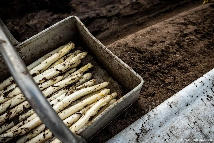 onderzoek duitsers minder happig op asperges door inflatie