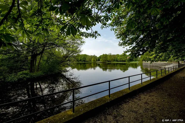 onderzoek gemeenten planten soms bomen die soortenrijkdom schaden