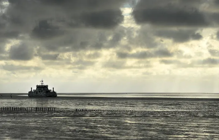 onderzoek naar aangetast bodemleven waddenzee