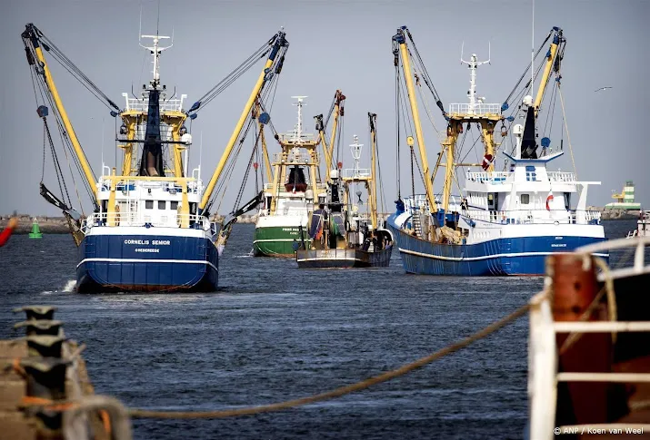 onderzoeker snel ingrijpen nodig om verzekeren toekomst visserij