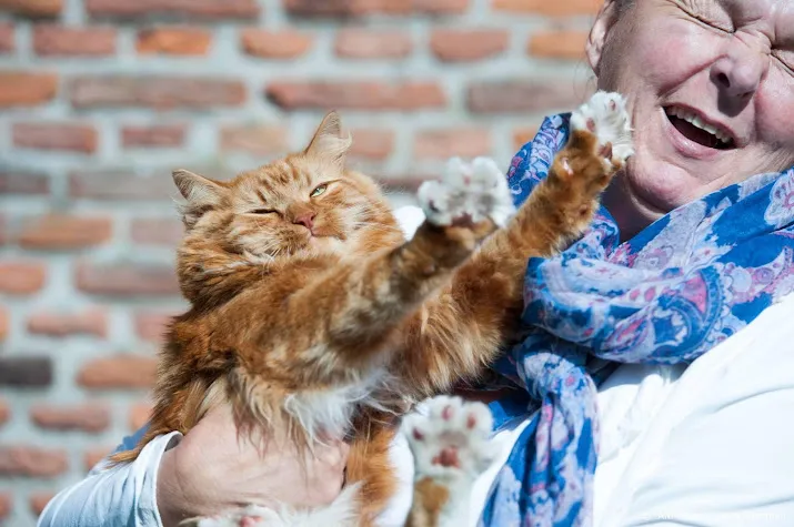 onlinewijzer helpt potentieel baasje aan juiste huisdier