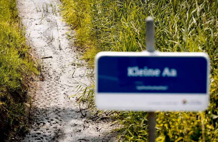 ook brabant in actie voor beschermde beekvis