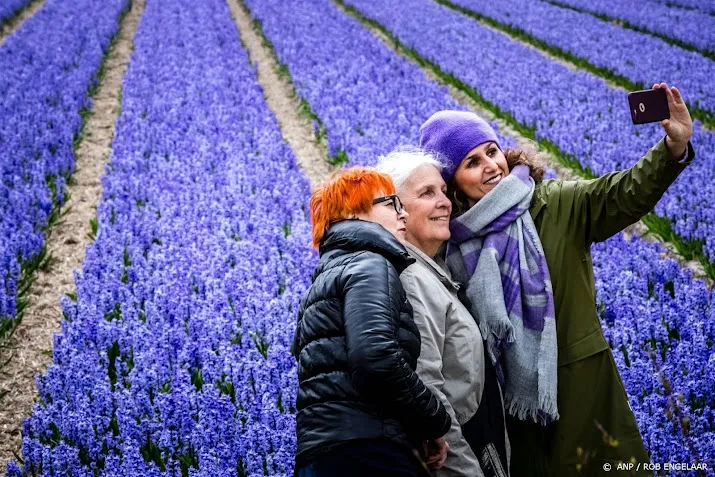 ook selfievelden bij tulpenfestival in flevoland
