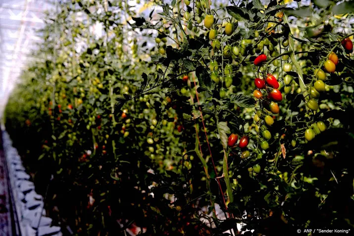 ook tuinbouw blij met extra maatregelen kabinet