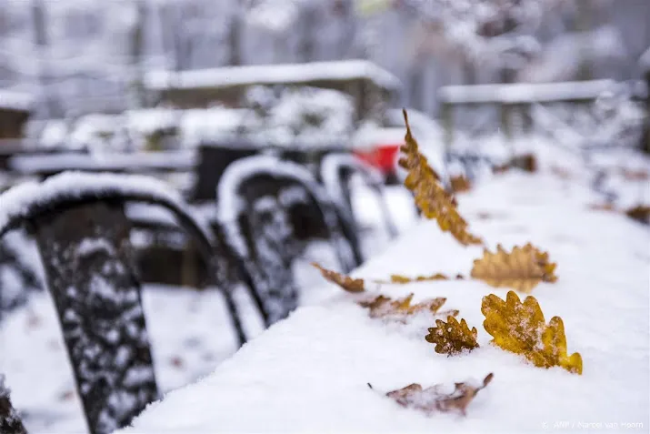 oosten en zuidoosten van nederland regionaal wit na sneeuwval