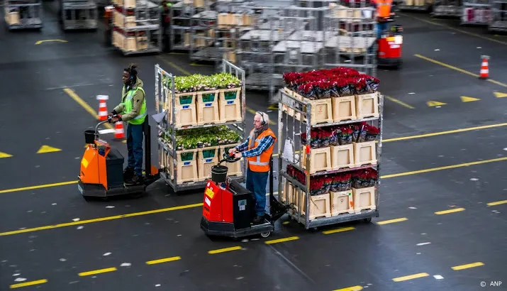 oplichter vergokte miljoenen van floraholland