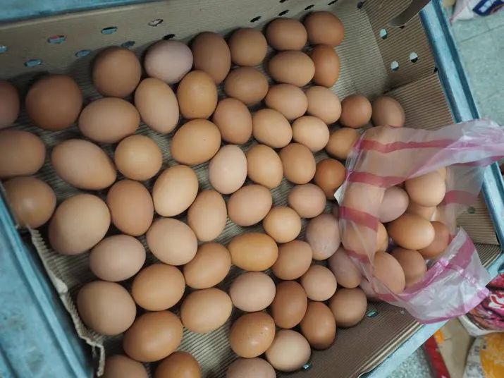 opnieuw fipronil in nederlandse eieren